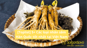 Tổng hợp các loại sâm Hàn Quốc tốt nhất tại thị trường Việt Nam